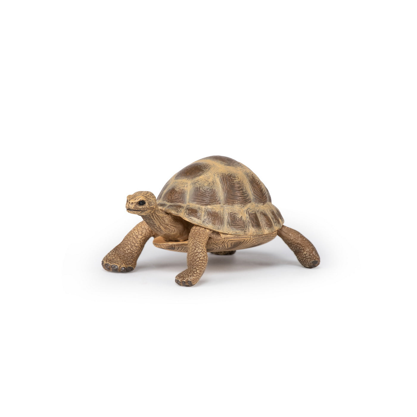 PAPO FIGURINA TESTOASA GALAPAGOS - Imagine 13
