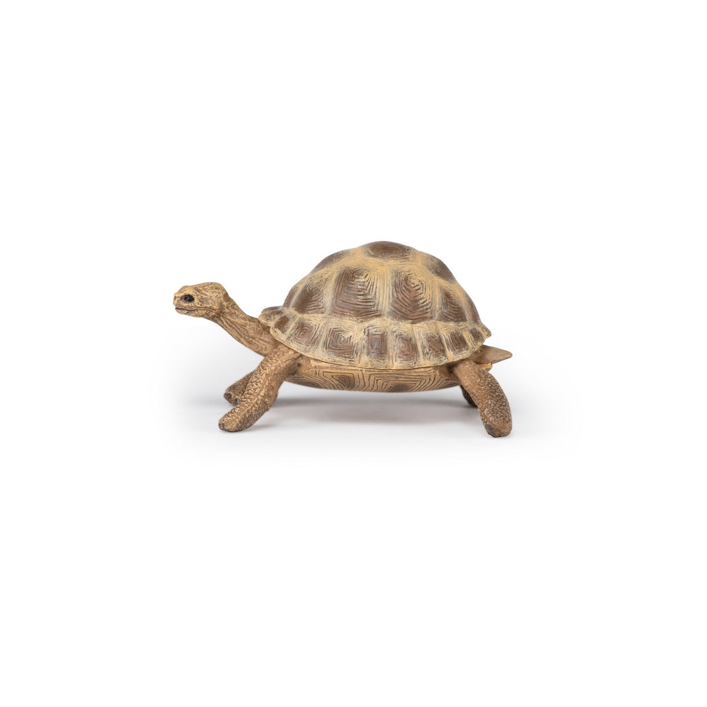 PAPO FIGURINA TESTOASA GALAPAGOS - Imagine 14