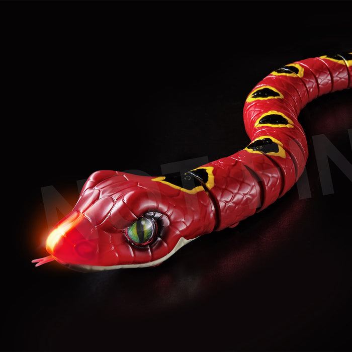 Robo Alive | Sarpe Robot