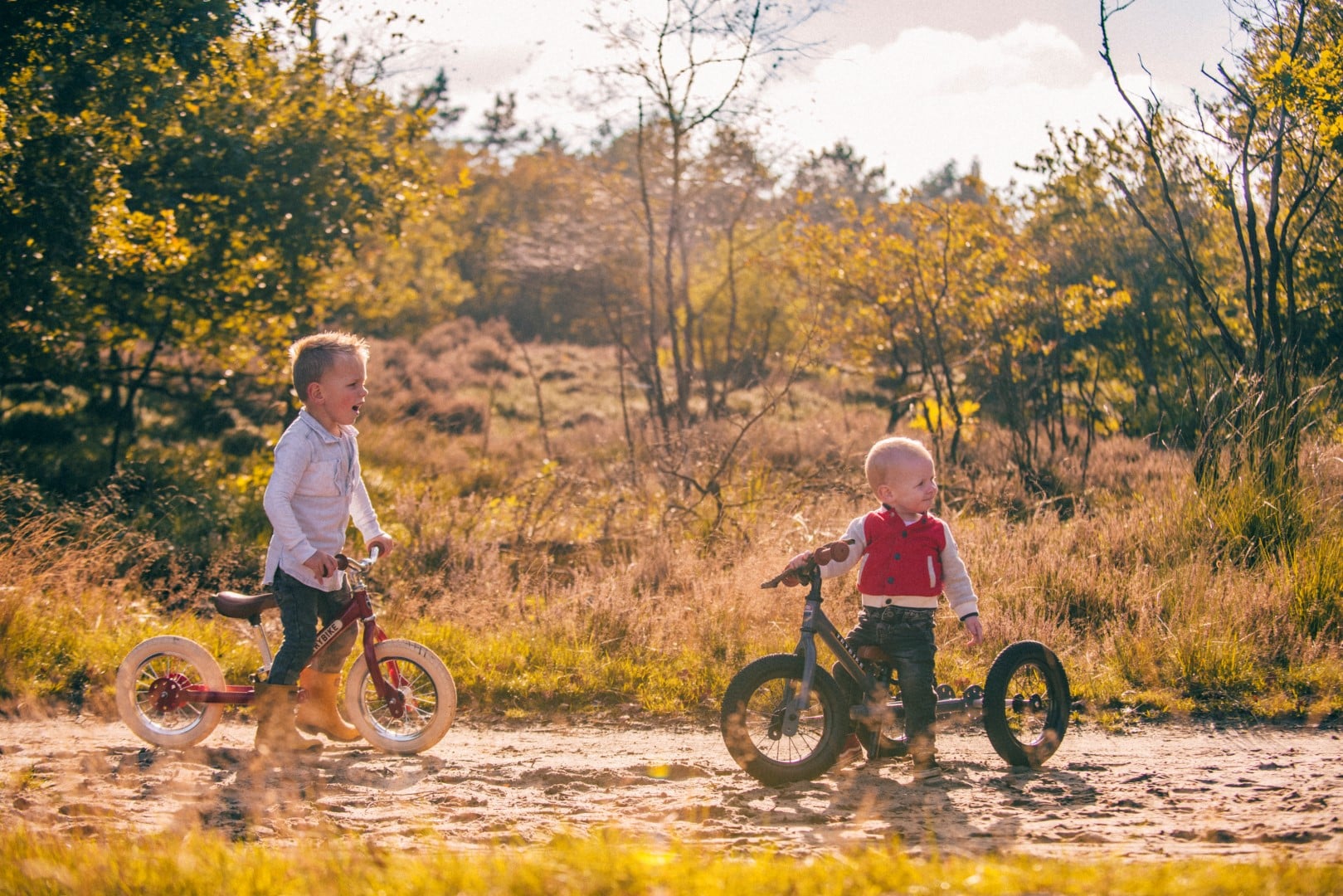 Trybike | Bicicleta din Otel Fara Pedale | Vintage Rosu