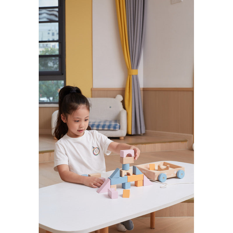 Carucior de tras cu cuburi, PolarB Viga