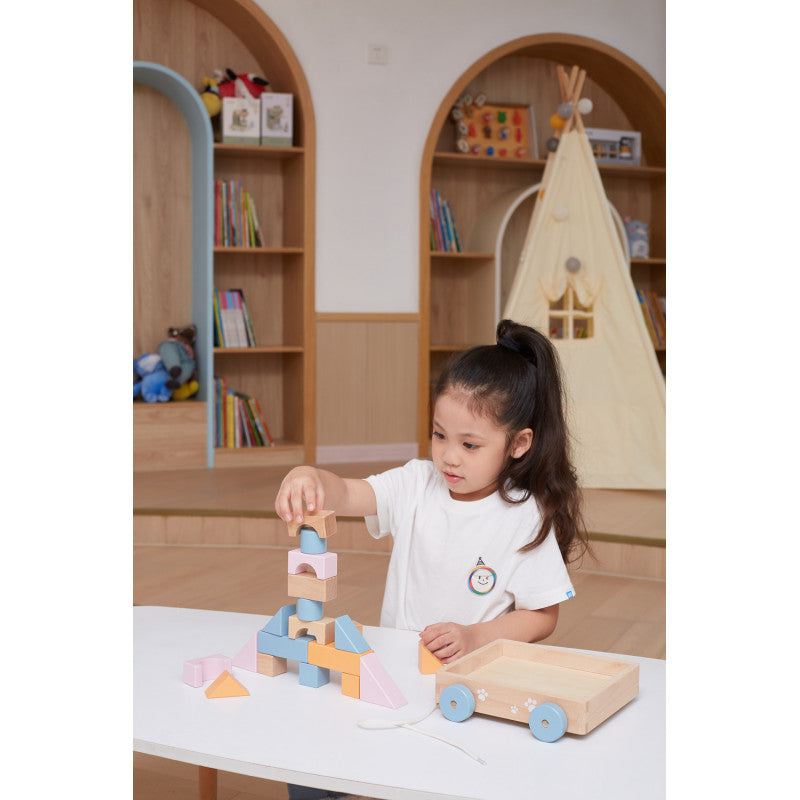 Carucior de tras cu cuburi, PolarB Viga