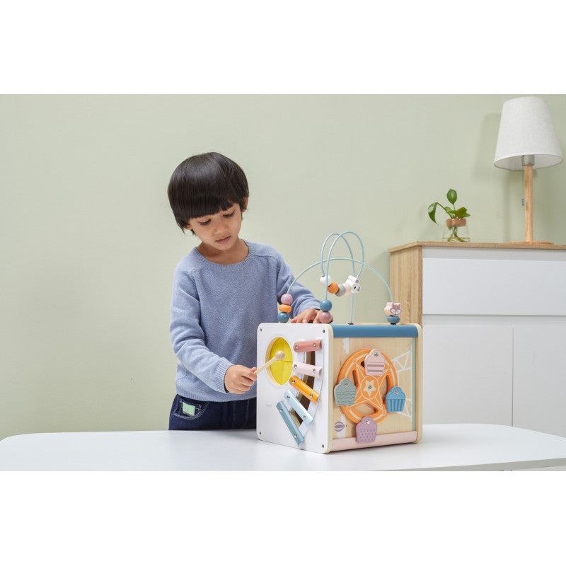 Cub cu activitati 8-in-1, PolarB Viga