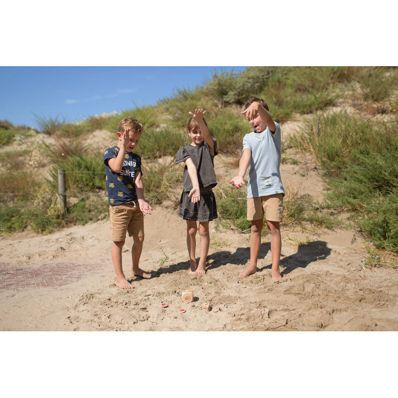 Imita pasarile, BS Toys