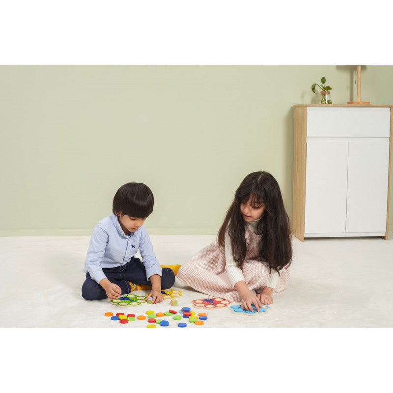 Joc de asociere a culorilor Paunul, VIGA