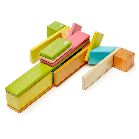 Tegu Tints - Set 24 Piese Lemn Magnetic | Jucării - Default Title [ps:3c28a1b8-2b5f-48bd-99da-cb027fd35a42]