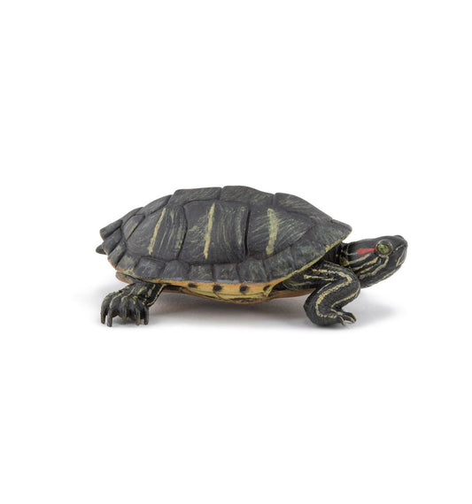 PAPO FIGURINA TESTOASA DIN FLORIDA [ps:4bd87928-b05f-4743-a5b4-ed1d29b29f26]