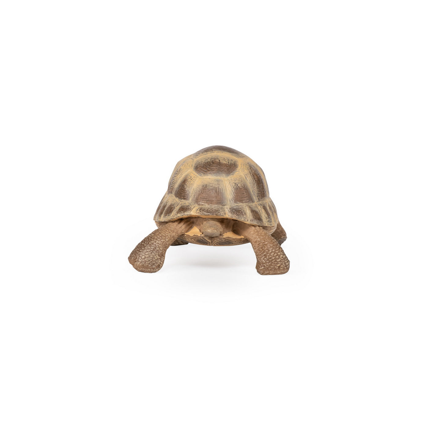PAPO FIGURINA TESTOASA DE USCAT [ps:73d29dcc-98bb-4c97-a24a-d70e40ab30ec]