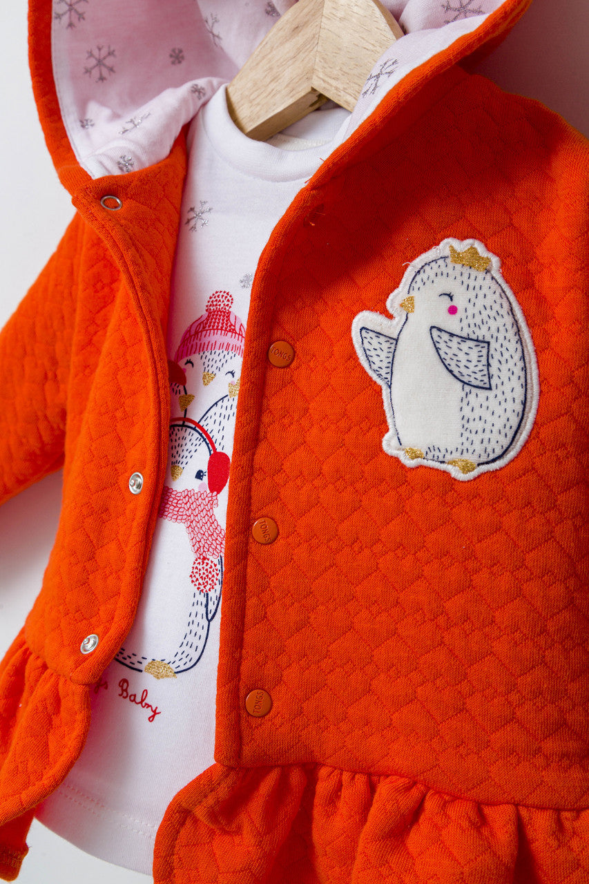 Set 3 piese: pantaloni, bluzita si vestuta pentru bebelusi, Tongs baby