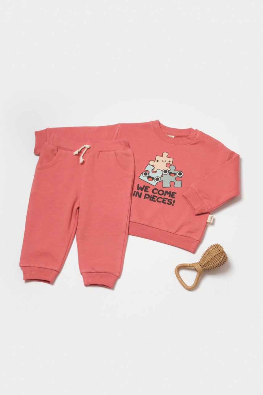 Set hanorac si pantaloni, Two thread, 100%bumbac organic - , BabyCosy