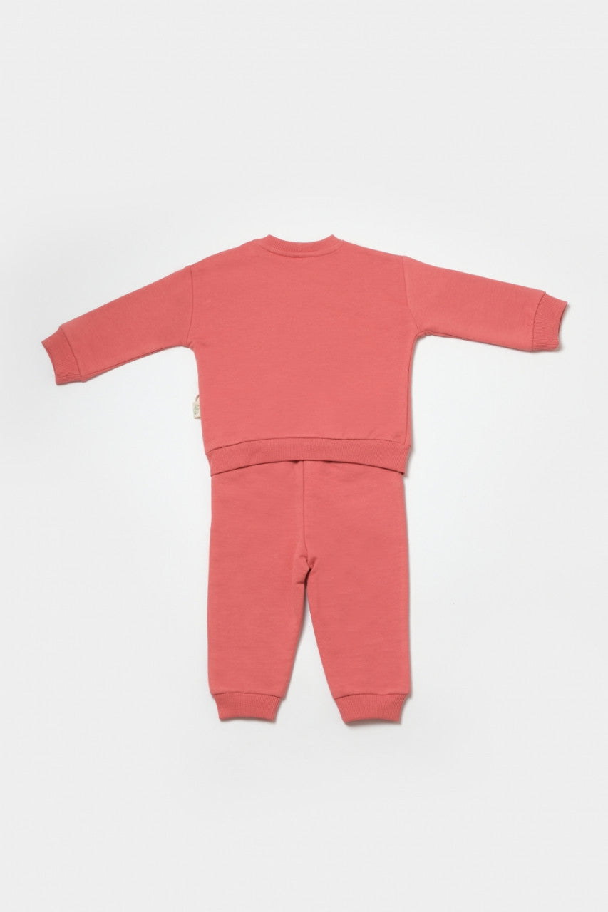 Set hanorac si pantaloni, Two thread, 100%bumbac organic - , BabyCosy