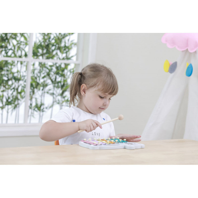 Xilofon PolarB, Viga